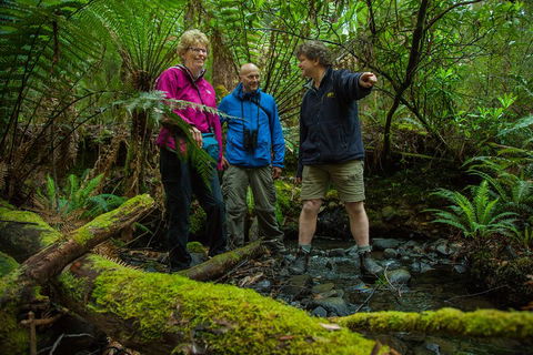Bruny Island Traveller - Gourmet Tasting And Sightseeing Day Trip From Hobart - Restaurant Gold Coast 1