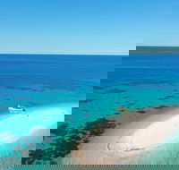 Ocean Safari Great Barrier Reef Experience in Cape Tribulation - Restaurant Gold Coast