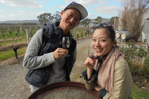 Swan Valley River Cruise And Wine Tasting Day Trip From Perth - Restaurant Gold Coast 0