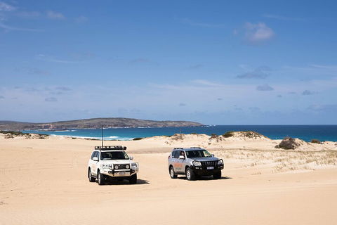 3 Day Port Lincoln And Coffin Bay Private Tour - Restaurant Gold Coast 0