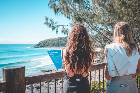 Sunshine Coast Hinterland And Noosa Day Trip From Brisbane Including Eumundi Markets And Ginger Factory - Restaurant Gold Coast 2