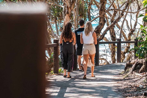 Sunshine Coast Hinterland And Noosa Day Trip From Brisbane Including Eumundi Markets And Ginger Factory - Restaurant Gold Coast 4
