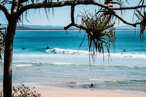 Sunshine Coast Hinterland And Noosa Day Trip From Brisbane Including Eumundi Markets And Ginger Factory - Restaurant Gold Coast 5