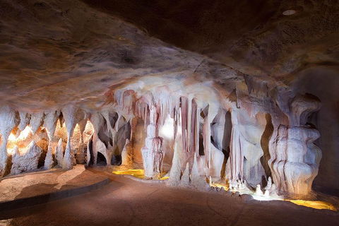 Springbrook AndTamborine Rainforest Tour Incl Natural Bridge And Glow Worm Cave - Restaurant Gold Coast 4