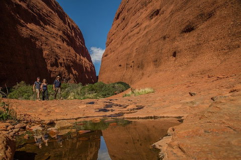 4 Day/3 Night Perentie Dreaming Safari - Restaurant Gold Coast 3