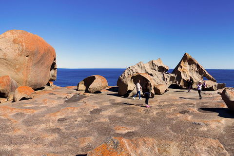 Full-Day Kangaroo Island Experience Departing From Kangaroo Island - Restaurant Gold Coast 4