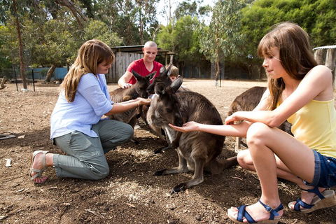 Full-Day Kangaroo Island Experience Departing From Kangaroo Island - Restaurant Gold Coast 5