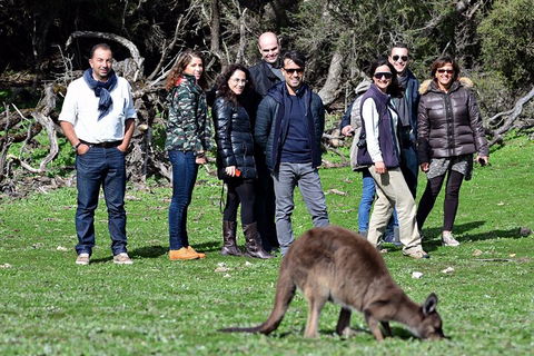 Full Day Seal Bay Experience Departing From Kangaroo Island - Restaurant Gold Coast 3