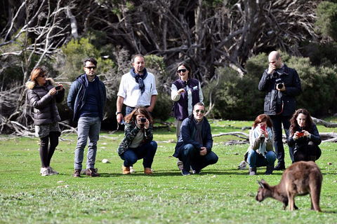 Small-Group Kangaroo Island 4WD Tour From Adelaide - Restaurant Gold Coast 2
