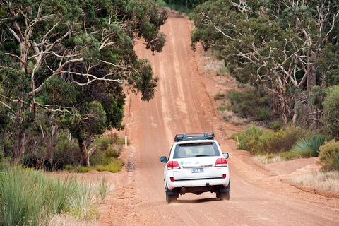 Small-Group Kangaroo Island 4WD Tour From Adelaide - Restaurant Gold Coast 3