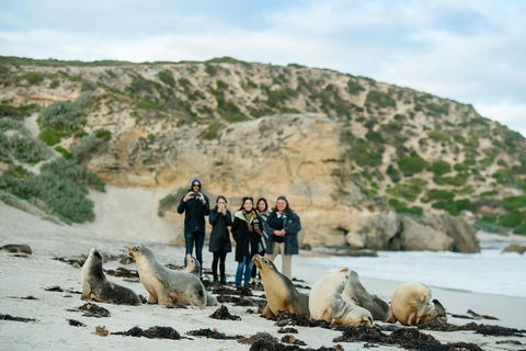 Small-Group Kangaroo Island 4WD Tour From Adelaide - Restaurant Gold Coast 4