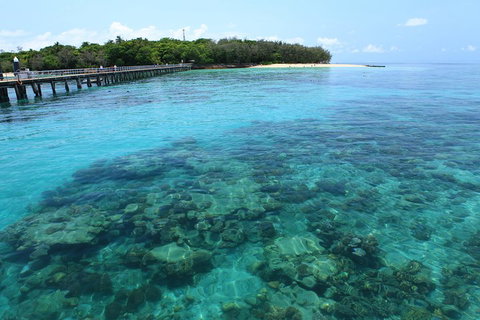 Cairns City Sights And Surrounds Tour - Restaurant Gold Coast 1