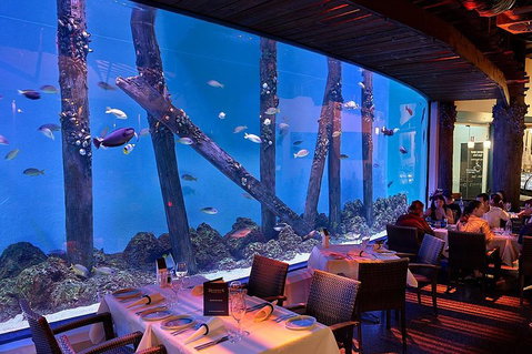 Cairns Aquarium And Small Group City Sightseeing Tour - Restaurant Gold Coast 4