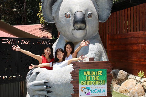 Kuranda Koala Gardens And Birdworld Admission Tickets - Restaurant Gold Coast 3