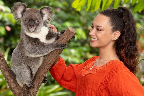 Kuranda Wildlife Experience Three Attraction Pass - Restaurant Gold Coast 4