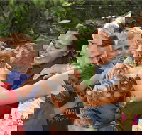 Kuranda Koala Gardens General Entry Ticket - Restaurant Gold Coast