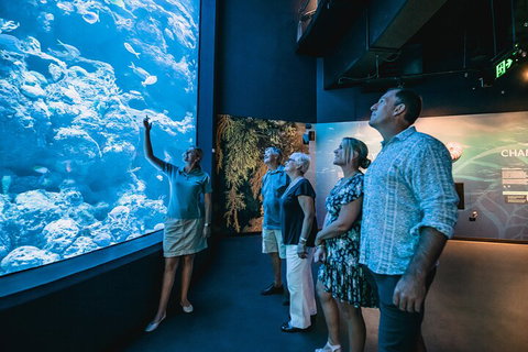 Cairns Aquarium By Twilight With 3-Course Dinner - Restaurant Gold Coast 1