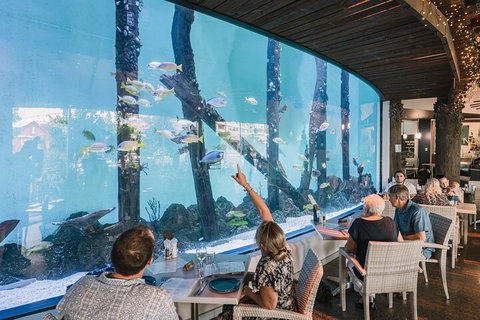 Cairns Aquarium Tour By Twilight With Drink And Appetiser - Restaurant Gold Coast 3
