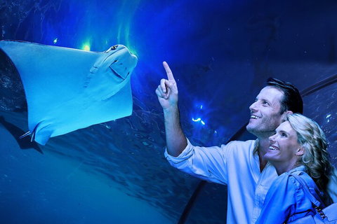 Cairns Aquarium Tour By Twilight With Drink And Appetiser - Restaurant Gold Coast 4