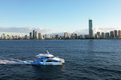 Whale Watching By Sea World Cruises - Restaurant Gold Coast 1