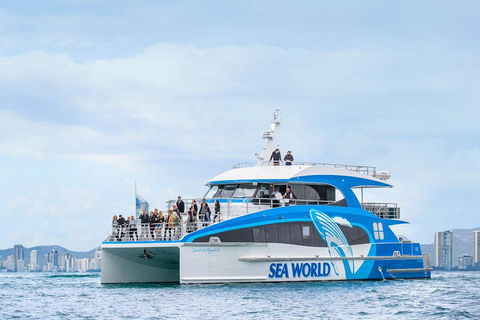 Whale Watching By Sea World Cruises - Restaurant Gold Coast 3