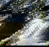 Cradle Mountain Day Tour from Launceston Including Lunch - Restaurant Gold Coast