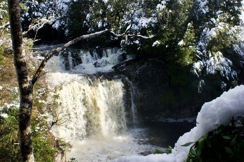 Cradle Mountain Day Tour From Launceston Including Lunch - Restaurant Gold Coast 0