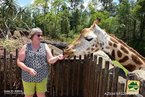 Small-Group Australia Zoo Day Trip From Brisbane - Restaurant Gold Coast 2