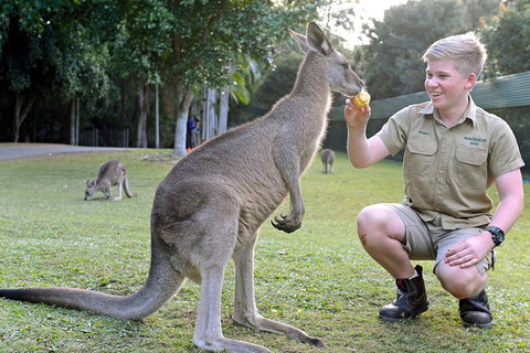 Small-Group Australia Zoo Day Trip From Brisbane - Restaurant Gold Coast 4