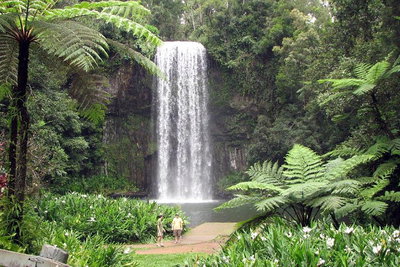 Private Daintree and Cape Tribulation Tour from Port Douglas