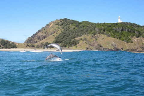 Kayaking With Dolphins In Byron Bay Guided Tour - Restaurant Gold Coast 0