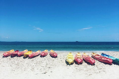 Kayaking With Dolphins In Byron Bay Guided Tour - Restaurant Gold Coast 1