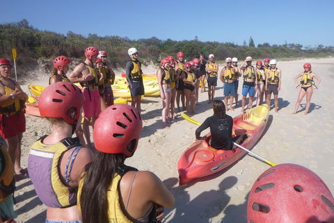 Kayaking With Dolphins In Byron Bay Guided Tour - Restaurant Gold Coast 2