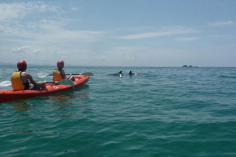Kayaking With Dolphins In Byron Bay Guided Tour - Restaurant Gold Coast 4