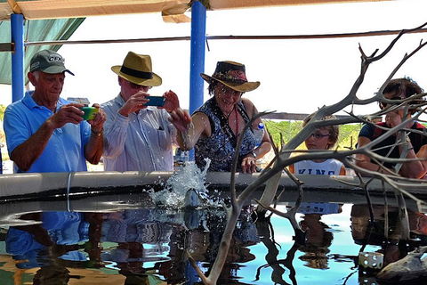 Cape Leveque 4WD Tour From Broome With Optional Return Flight - Restaurant Gold Coast 0