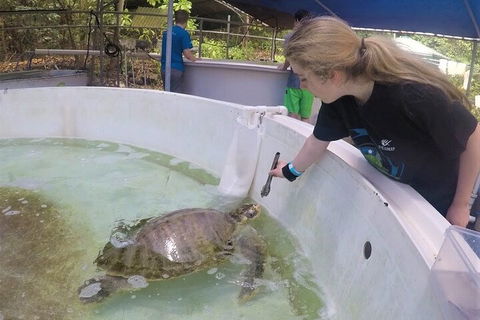 12-Day Great Barrier Reef Marine Conservation Program From Cairns - Restaurant Gold Coast 4