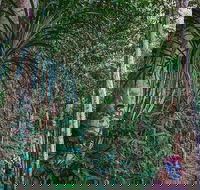 Atherton Tablelands Rain Forest by Night from Cairns - Restaurant Gold Coast