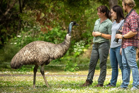 Great Ocean Road 2 Day Highlights Tour And Sunset 12 Apostles - Restaurant Gold Coast 0