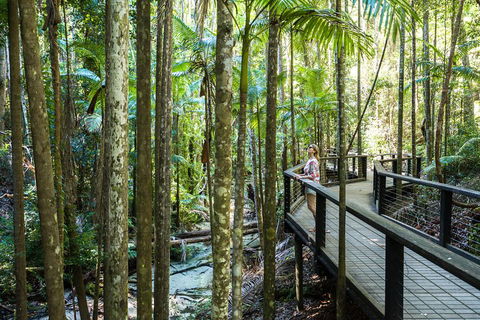 All-Inclusive Fraser Island Day Tour - Restaurant Gold Coast 5