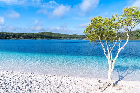 Lake McKenzie Full-Day Tour With Lunch From Hervey Bay - Restaurant Gold Coast 1