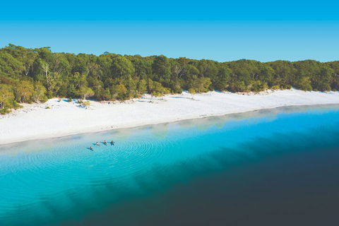 Lake McKenzie Full-Day Tour With Lunch From Hervey Bay - Restaurant Gold Coast 4