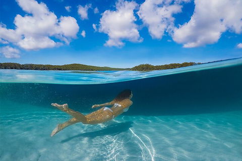 Lake McKenzie Full-Day Tour With Lunch From Hervey Bay - Restaurant Gold Coast 5