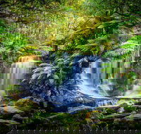 Day Tour in Mt. Field Mt. Wellington Bonorong Wildlife Sanctuary and Richmond - Restaurant Gold Coast