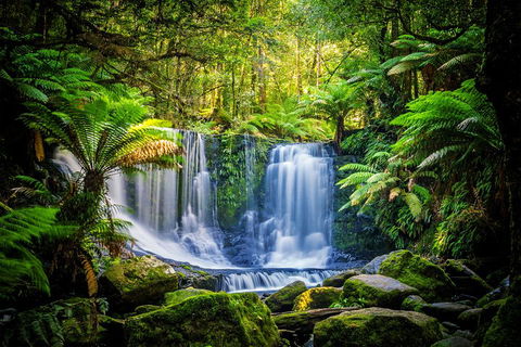 Day Tour In Mt. Field, Mt. Wellington, Bonorong Wildlife Sanctuary And Richmond - Restaurant Gold Coast 0