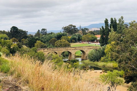 Day Tour In Mt. Field, Mt. Wellington, Bonorong Wildlife Sanctuary And Richmond - Restaurant Gold Coast 3