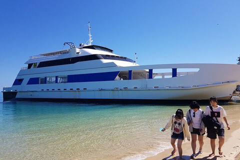 Moreton Island Day Trip (Kayak, Snorkel & Sandboard) Frm Brisbane Or Gold Coast - Restaurant Gold Coast 0
