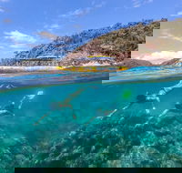 Great Barrier Reef Scenic Flight and Ocean Rafting Whitehaven Beach Day Trip - Restaurant Gold Coast