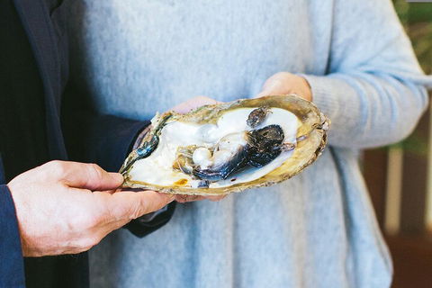 Half-Day Willie Creek Pearl Farm Tour With Helicopter Flight - Restaurant Gold Coast 3