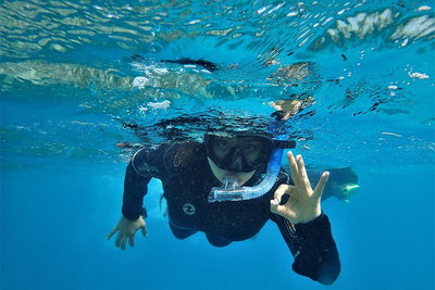 3 Day Whitsundays Sailing and Diving Adventure Kiana