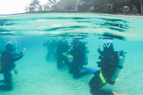 3 Day Whitsundays Sailing And Diving Adventure: Kiana - Restaurant Gold Coast 4